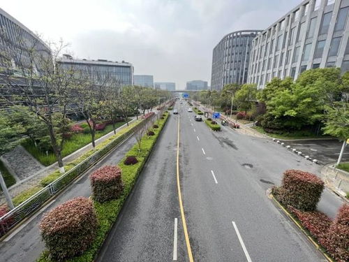 閔行區(qū)新增8條精品道路，累計(jì)創(chuàng)建33條，道路設(shè)施全面升級