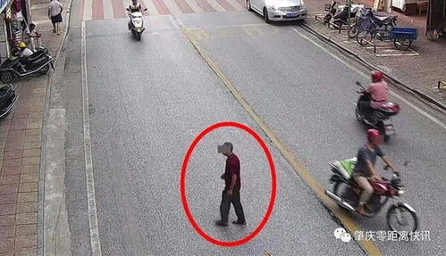 肇慶行人亂穿馬路遭曝光，道路設(shè)施問(wèn)題引發(fā)關(guān)注